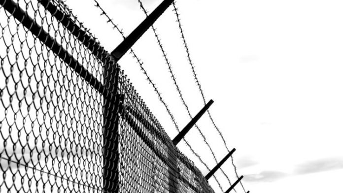 Barbed-Wire-750x422