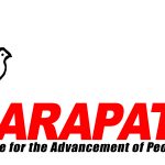 KARAPATAN-LOGO-2012